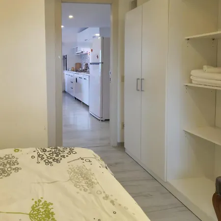 Yayli * 杰尔宾特